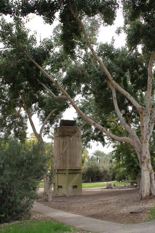 קיבוץ טירת צבי - אירוח כפרי מראה חיצוני תמונה