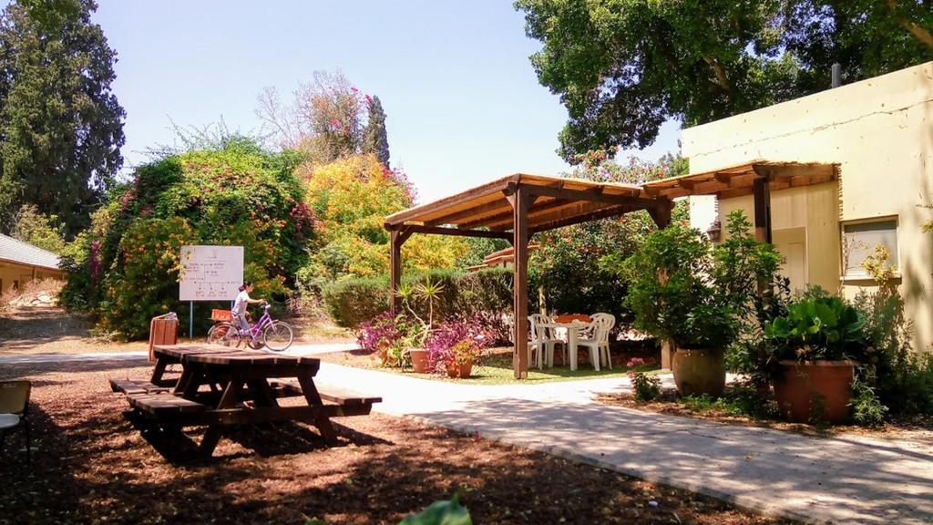 קיבוץ טירת צבי - אירוח כפרי מראה חיצוני תמונה